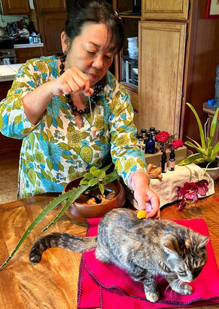 The Natural Cat Basic Wellness Kit - Live Lōkahi™ - World of Shortcuts